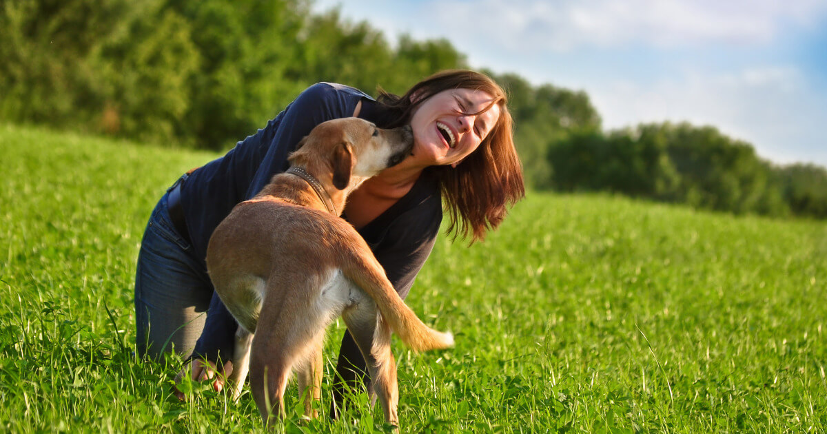 Für ein Hundeleben voller Abenteuer